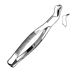 Sklar Instruments&nbsp;Forceps Sklar Microscopy Surgical   1/EA