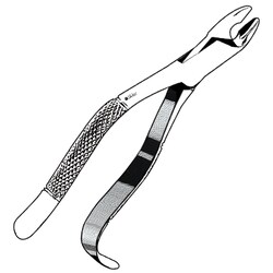 Sklar Instruments&nbsp;Forceps Sklar Microscopy Surgical   1/EA