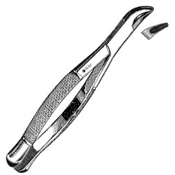 Sklar Instruments&nbsp;Forceps Sklar Microscopy Surgical   1/EA