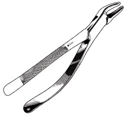 Sklar Instruments&nbsp;Forceps Sklar Microscopy Surgical   1/EA