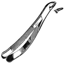 Sklar Instruments&nbsp;Forceps Sklar Microscopy Surgical   1/EA