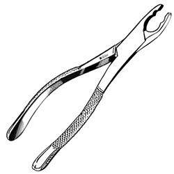 Sklar Instruments&nbsp;Forceps Sklar Microscopy Surgical   1/EA