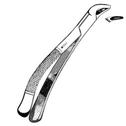 Sklar Instruments&nbsp;Forceps Sklar Microscopy Surgical   1/EA