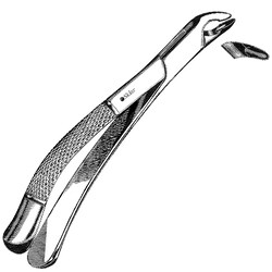 Sklar Instruments&nbsp;Forceps Sklar Microscopy Surgical   1/EA