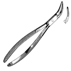 Sklar Instruments&nbsp;Forceps Sklar Microscopy Surgical   1/EA