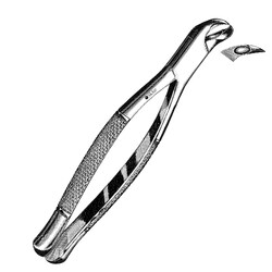 Sklar Instruments&nbsp;Forceps Sklar Microscopy Surgical   1/EA