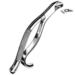 Sklar Instruments&nbsp;Forceps Sklar Microscopy Surgical   1/EA