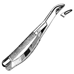 Sklar Instruments&nbsp;Forceps Sklar Microscopy Surgical   1/EA