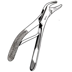 Sklar Instruments&nbsp;Forceps Sklar Microscopy Surgical   1/EA