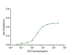 Genscript Corporation SCF, Human (P. pastoris-expressed), Quantity: Each