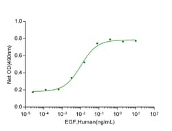 Genscript Corporation&nbsp;EGF, Human