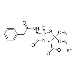 Penicillin G Potassium Salt , MP Biomedical