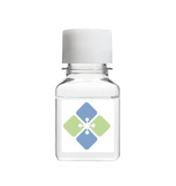 MOLECULAR DEPOT LLC&nbsp;Anti-IgM Latex - 1 mL