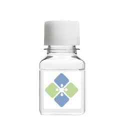 MOLECULAR DEPOT LLC&nbsp;Substrate Buffer - 50 mL