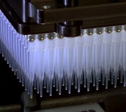 Molecular Devices Pipette Tips, 384-Well, Clear, 30 μL