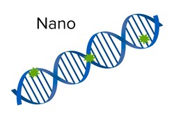 Molecular Devices dsDNA Assay Kit, Fluorescence, 350/460 nm, 2-2,000 ng