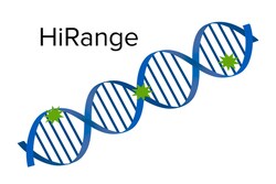 Molecular Devices Reporter Assay Kit, Dual Luciferase, 200 Reactions, Explorer