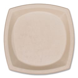 Essendant&nbsp;PLATE10SQ500PFFTN