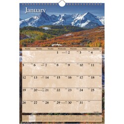 Essendant&nbsp;CALENDARWALLMTH12X17