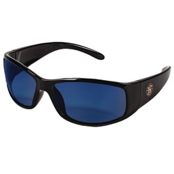 Essendant GLASSESBLUE LENS12/CBK