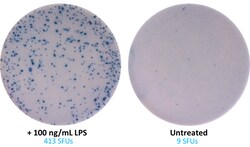 Biolegend&nbsp;ELISpot MAX  Deluxe Set Human IL-10  Reactivity  Human  Apps  ELISpot  Size  5 Plates