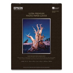 Essendant&nbsp;PAPERLSTR PHTOLTR SZ