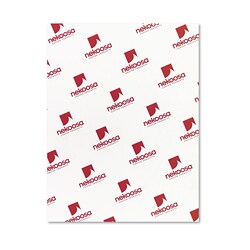 Essendant&nbsp;PAPERCARBONLESS CFBWE