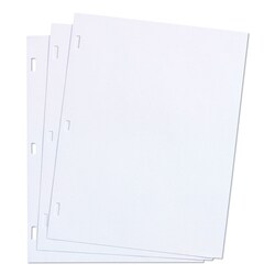 Essendant Wilson Jones Ledger Sheets for Corporation and Minute Book  11x8 5  White  Loose Sheet  100/Box