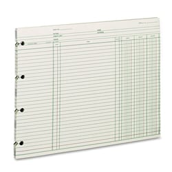 Essendant&nbsp;Wilson Jones Accounting Sheets  9 25x11 88  Green  Loose Sheet  100/Pack