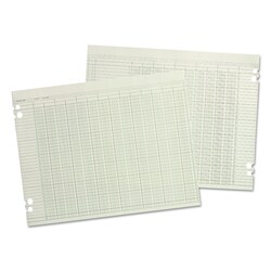 Essendant&nbsp;Wilson Jones Accounting Sheets  10 Columns  9 25x11 88  Green  Loose Sheet  100/Pack