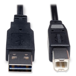 Essendant&nbsp;Tripp Lite by Eaton Universal Reversible USB 2 0 Cable  Reversible A to B (M/M)  6 ft  Black
