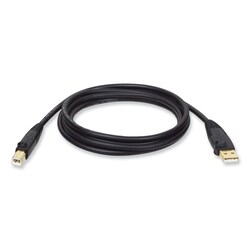 Essendant&nbsp;Tripp Lite by Eaton USB 2 0 A/B Cable (M/M)  15 ft  Black