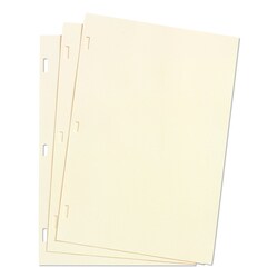 Essendant&nbsp;Wilson Jones Looseleaf Minute Book Ledger Sheets  11x8 5  Ivory  Loose Sheet  100/Box