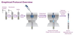 Biolegend&nbsp;MojoSort on Columns  - Human CD4 T Cell Isolation Kit  Reactivity  Human  Apps  Cell Sep - Neg  Size  100 tests