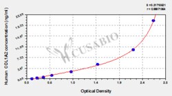 Cusabio Technology LLC&nbsp;collagen type I alpha 2