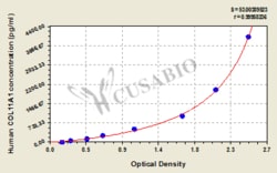 Cusabio Technology LLC&nbsp;collagen type XI alpha 1