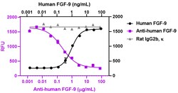 Biolegend&nbsp;Ultra-LEAF  Purified anti-human FGF-9 [W20200C]  Isotype  Rat IgG2b     Reactivity  Human  Apps  Neut  Size  100  g
