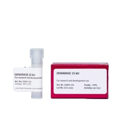 C LECTA GMBH&nbsp;DENARASE 25 kU, R&D Enzymes & Nucleases