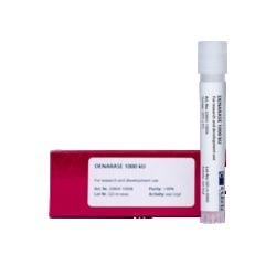 C LECTA GMBH&nbsp;DENARASE 1000 kU, R&D Recombinant Endonucleases