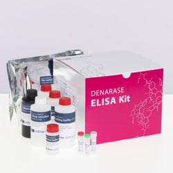 C LECTA GMBH Washing and dilution buffer 500mL(10x) Enzymes & Nucleases