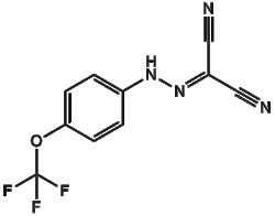 Apexbio Technology LLC FCCP(Synonyms: Carbonyl cyanide 4-(trifluoromethoxy)phenylhydrazone),