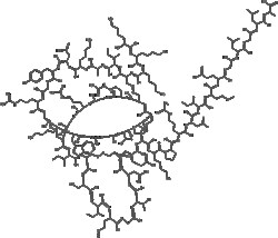 Apexbio Technology LLC ω-Agatoxin IVA(Synonyms: Omega-Agatoxin IVA, ω-Aga