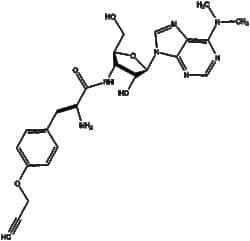 Apexbio Technology LLC O-propargyl-puromycin (OPP)(Synonyms: OP-puromycin,