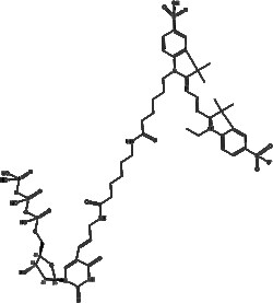 Apexbio Technology LLC&nbsp;Aminoallyl-dUTP-X-Cy3(Synonyms: Cy3-dUTP, Aminoallyl-dUTP-Cy3, Cy3-labeled Aminoallyl-dUTP, Fluorescent-labeled dUTP (Cy3)), 5X10ul (5mM).