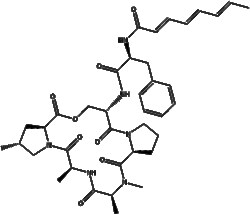 Apexbio Technology LLC&nbsp;A-54556A(Synonyms: A54556A, Antibiotic A54556A, Acyl depsipeptide antibiotic, ADEP, Natural acyldepsipeptide antibiotic), 1mg, CAS: 95398-45-1.
