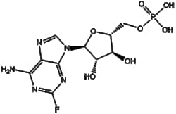 Apexbio Technology LLC&nbsp;Fludarabine Phosphate (Fludara)(Synonyms: Fludara, Fludarabine phosphate, Fludarabine monophosphate, 2-Fluoro-ara-AMP), 10mg, CAS: 75607-67-9.