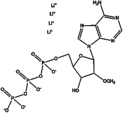 Apexbio Technology LLC 2'-O-Methyl-ATP(Synonyms: 2'-O-Methyladenosine 5'-triphosphate,