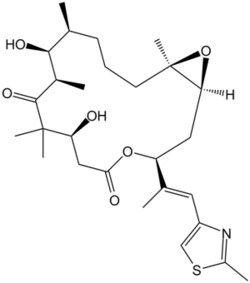 Apexbio Technology LLC Epothilone B (EPO906, Patupilone)(Synonyms: Patupilone,