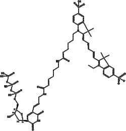 Apexbio Technology LLC&nbsp;Aminoallyl-dUTP-X-Cy5(Synonyms: AA-dUTP-Cy5, Aminoallyl-deoxyuridine triphosphate-Cy5, Cy5-AA-dUTP, Cy5-labeled aminoallyl-dUTP), 5X10ul (5mM).