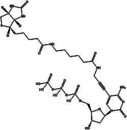 Apexbio Technology LLC Biotin-11-dCTP(Synonyms: Biotin-11-2'-deoxycytidine-5'-triphosphate,